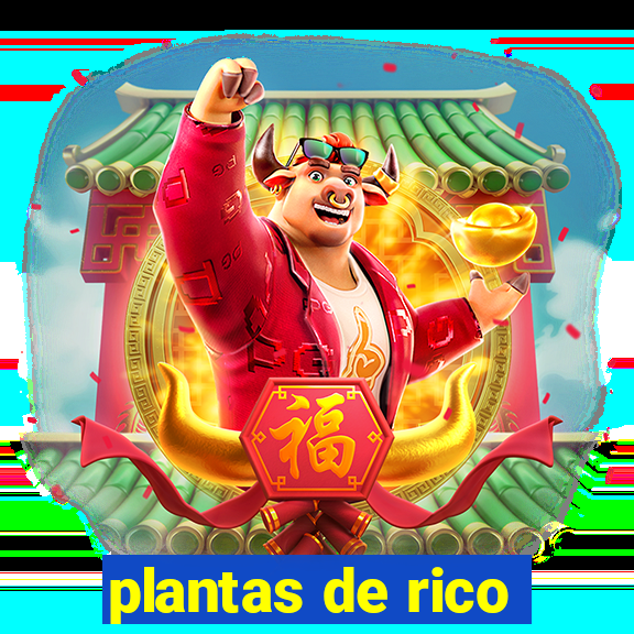 plantas de rico