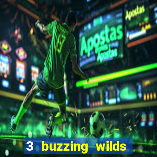 3 buzzing wilds demo pragmatic