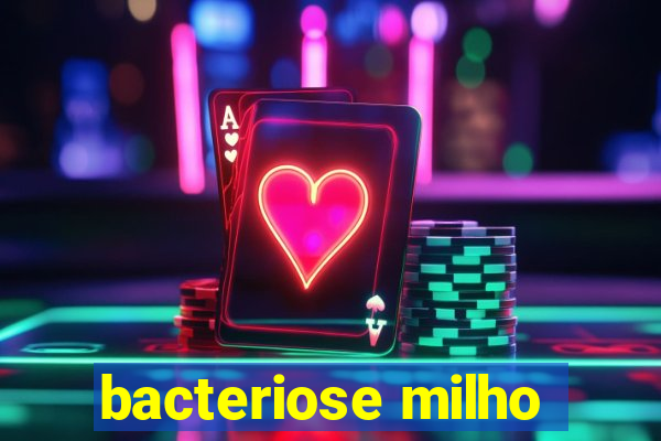 bacteriose milho