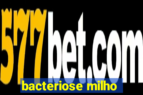 bacteriose milho