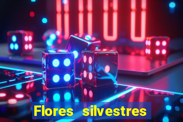 Flores silvestres brasileiras 25