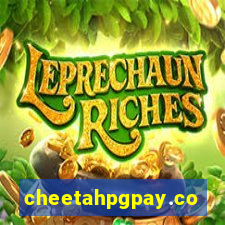 cheetahpgpay.com