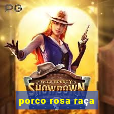 porco rosa raça