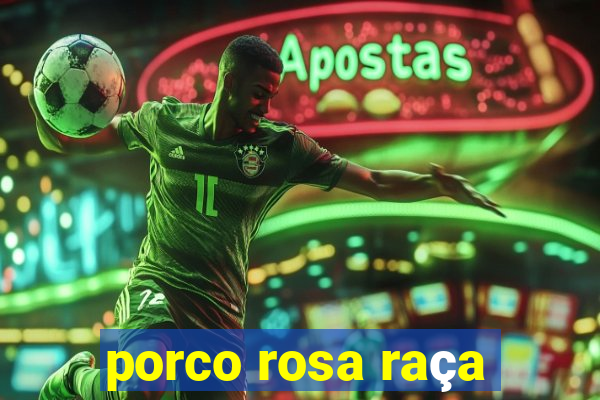 porco rosa raça