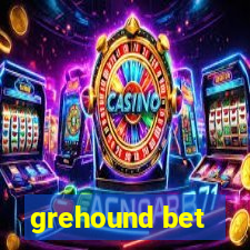 grehound bet