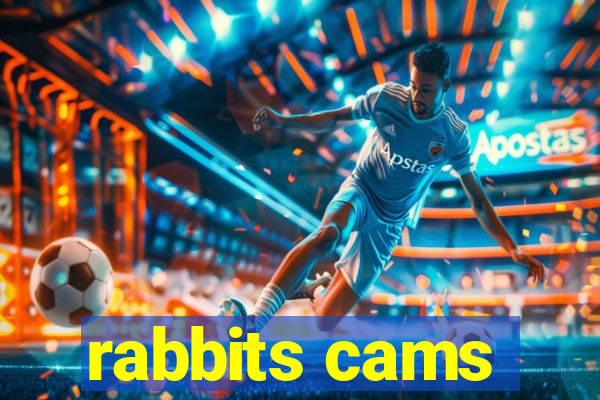 rabbits cams