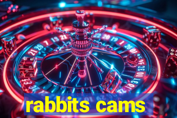 rabbits cams