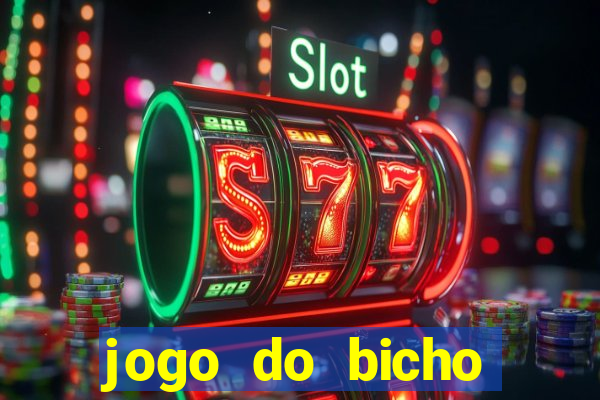 jogo do bicho feira de santana