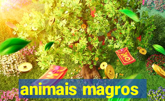 animais magros