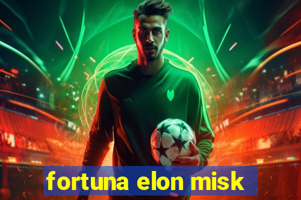 fortuna elon misk