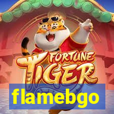 flamebgo