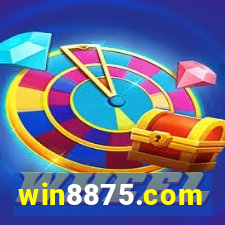 win8875.com