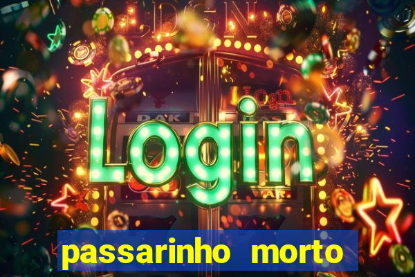 passarinho morto significado espiritual