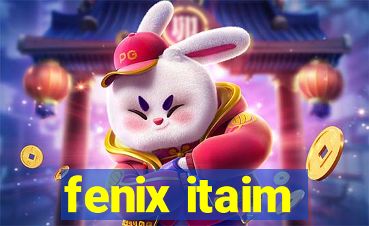 fenix itaim