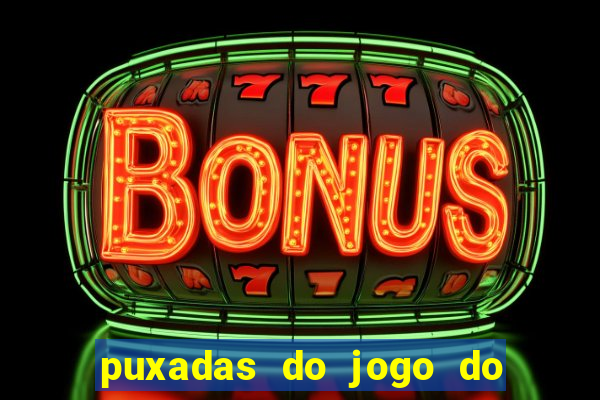 puxadas do jogo do bicho sueli