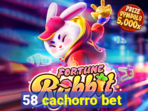 58 cachorro bet