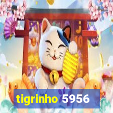 tigrinho 5956