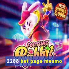 2288 bet paga mesmo