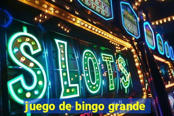 juego de bingo grande