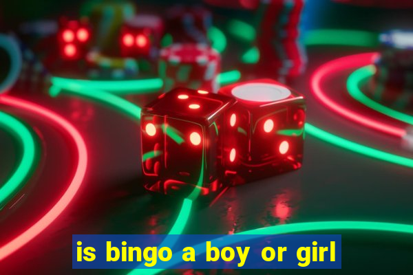 is bingo a boy or girl