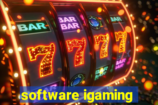 software igaming