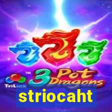 striocaht