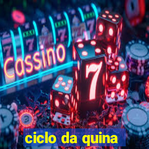 ciclo da quina