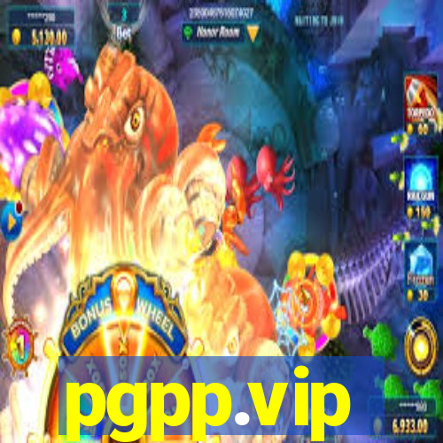 pgpp.vip