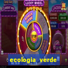 ecologia verde stardew valley