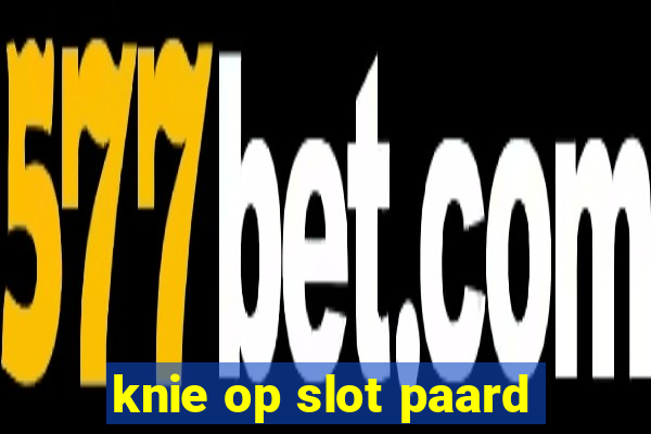 knie op slot paard