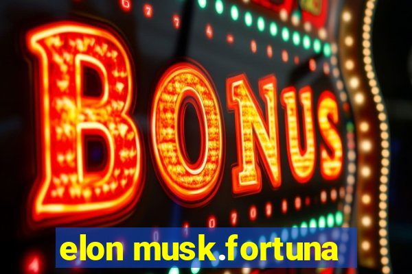 elon musk.fortuna