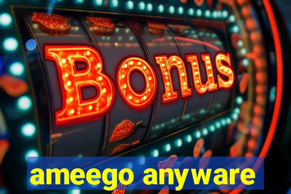 ameego anyware