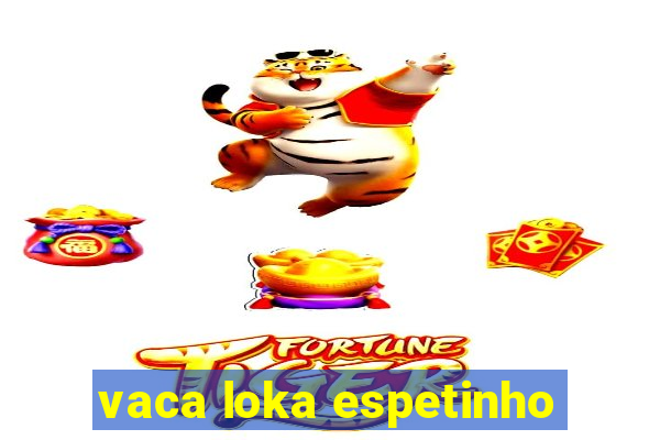 vaca loka espetinho