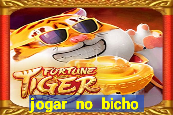 jogar no bicho online pernambuco