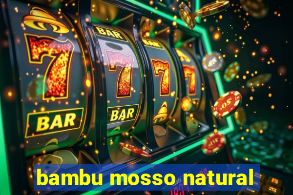 bambu mosso natural