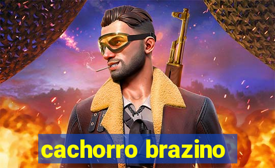 cachorro brazino