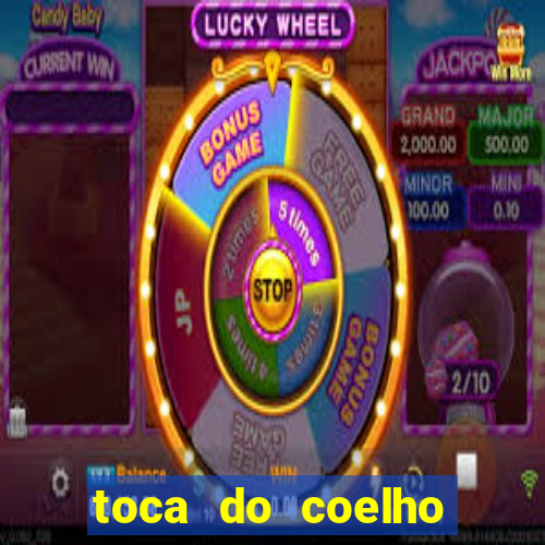 toca do coelho mogi das cruzes