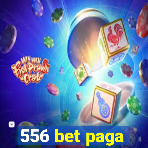 556 bet paga