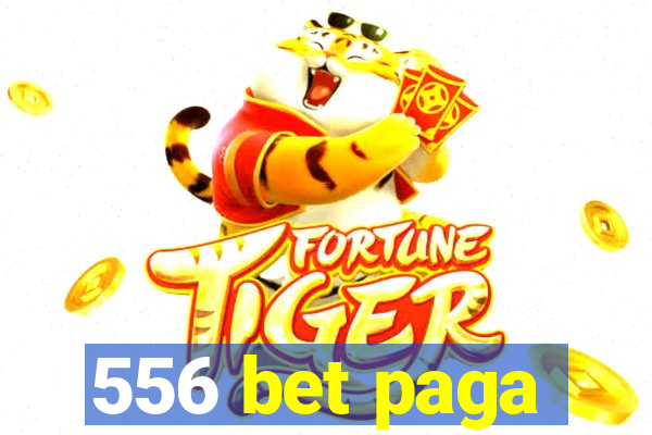 556 bet paga