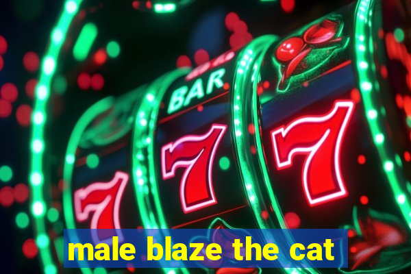 male blaze the cat