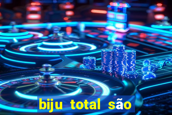 biju total são paulo - sp