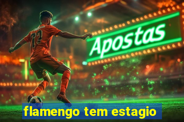 flamengo tem estagio