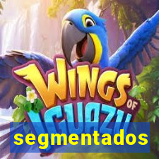 segmentados