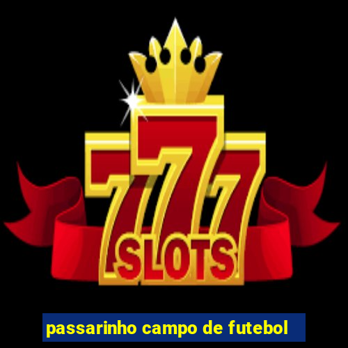 passarinho campo de futebol