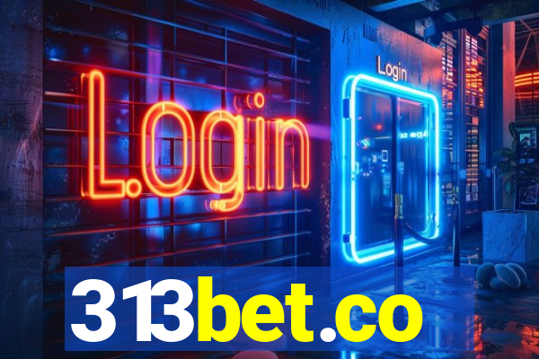 313bet.co