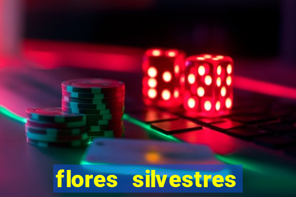 flores silvestres desbravadores desbravadores 25