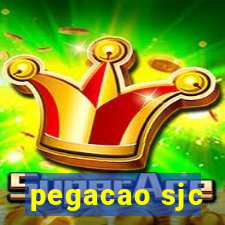 pegacao sjc