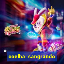 coelha sangrando pela parte intima