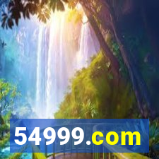 54999.com