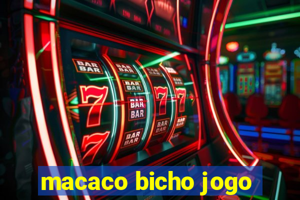 macaco bicho jogo